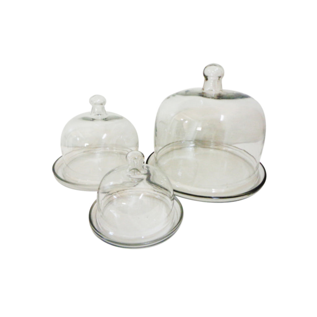 Set of 3- Glass Plate and Dome