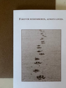 Sentimental- Forever Remembered, Always Loved